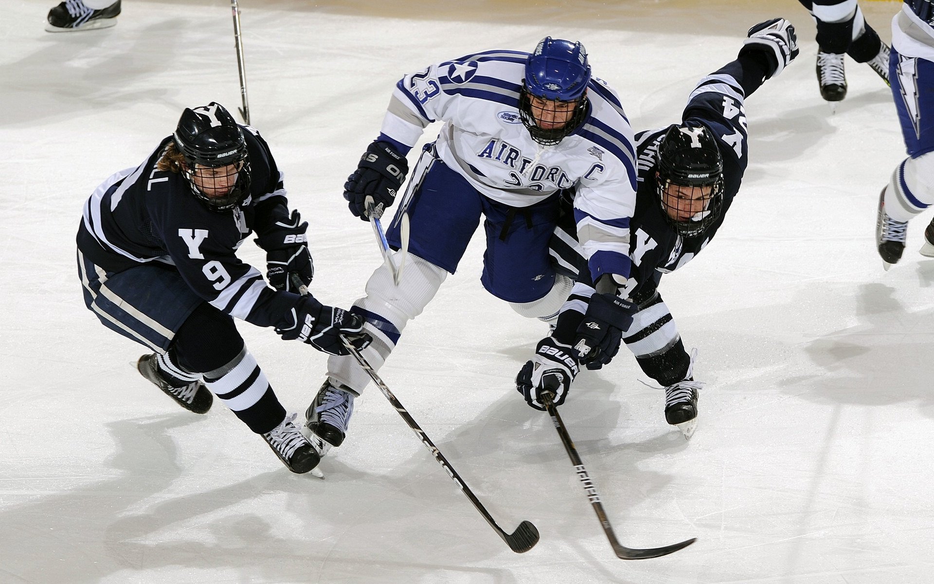 戈麦斯之夜，2026，为被遗忘的沉默者加冕